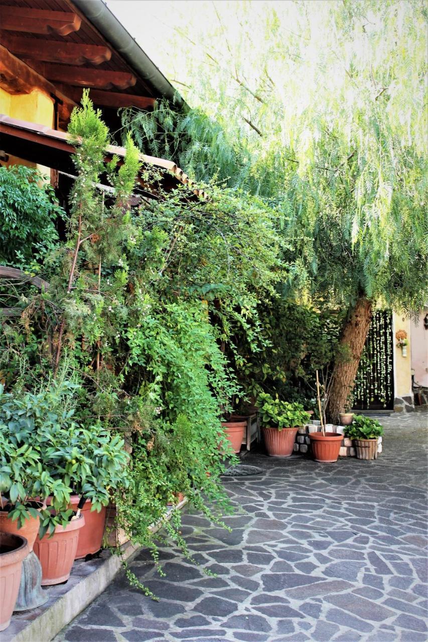 I Gerani Rossi Hotel Rome Exterior photo